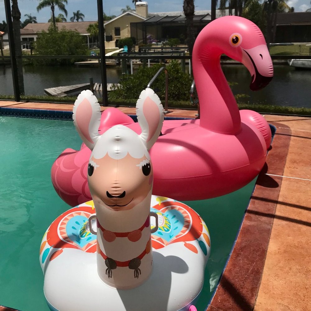 Meet your Posher, D'arcy